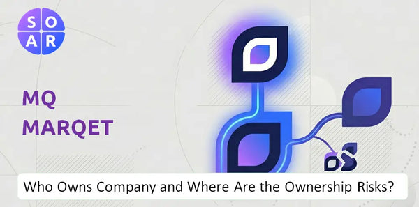 What Do the Mission, Vision, and Values of MQ Marqet Company Reveal Under Pressure?