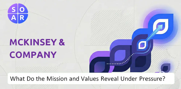 Who Owns McKinsey & Company Company and Where Are the Ownership Risks?