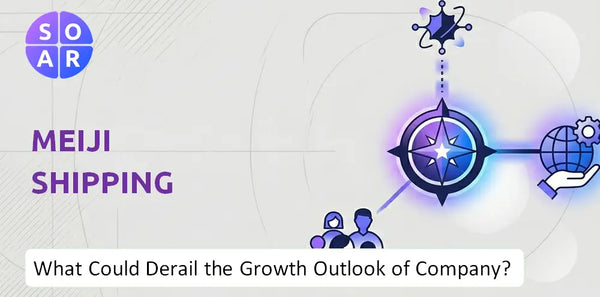What Could Derail the Growth Outlook of Meiji Shipping Company?