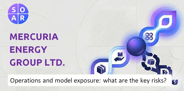 How Does Mercuria Energy Group Ltd. Company Work and Where Is Its Business Model Most Exposed?