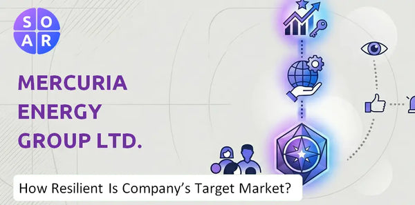 How Resilient Is Mercuria Energy Group Ltd. Company's Target Market and Customer Base?