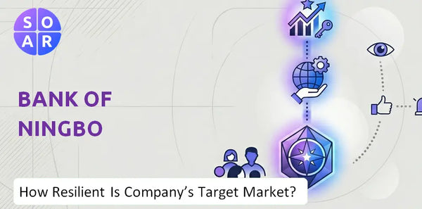 How Resilient Is Bank of Ningbo Company's Target Market and Customer Base?