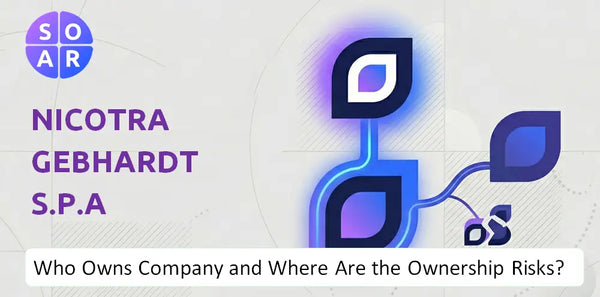 What Do the Mission, Vision, and Values of Nicotra Gebhardt S.p.A Company Reveal Under Pressure?