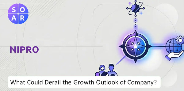 What Could Derail the Growth Outlook of Nipro Company?