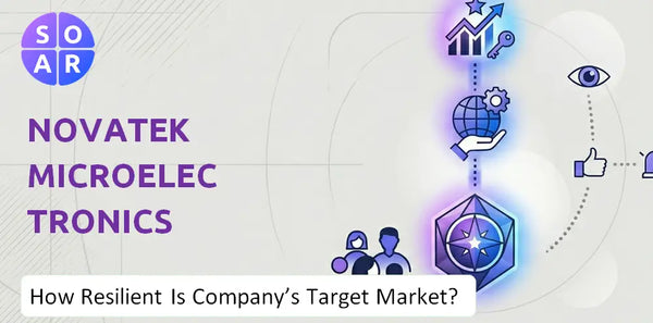 How Resilient Is Novatek Microelectronics Corp. Company's Target Market and Customer Base?