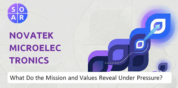 Who Owns Novatek Microelectronics Corp. Company and Where Are the Ownership Risks?