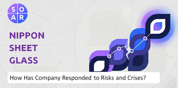 How Has Nippon Sheet Glass Company Responded to Risks and Crises Over Time?