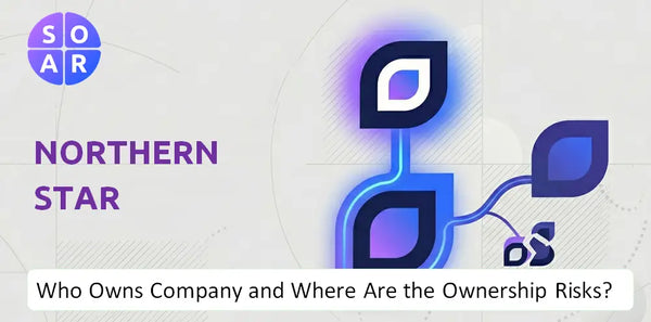 What Do the Mission, Vision, and Values of Northern Star Company Reveal Under Pressure?