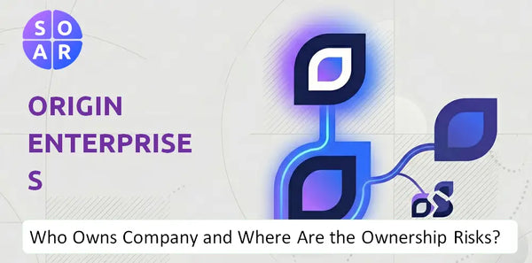What Do the Mission, Vision, and Values of Origin Enterprises Company Reveal Under Pressure?