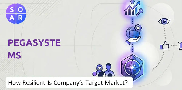 How Resilient Is Pegasystems Company's Target Market and Customer Base?