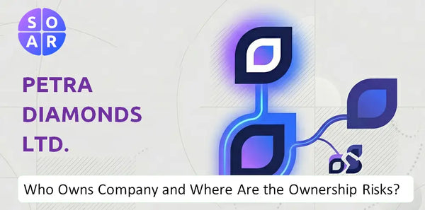 What Do the Mission, Vision, and Values of Petra Diamonds Ltd. Company Reveal Under Pressure?