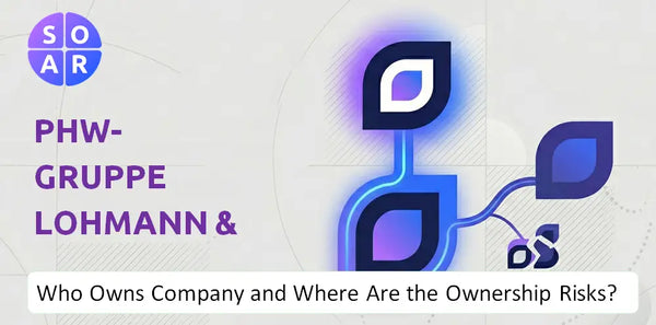 What Do the Mission, Vision, and Values of PHW-Gruppe LOHMANN & CO. AG  Company Reveal Under Pressure?