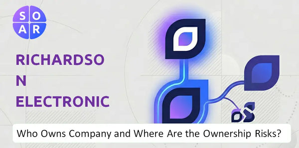What Do the Mission, Vision, and Values of Richardson Electronics Company Reveal Under Pressure?
