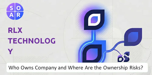 What Do the Mission, Vision, and Values of RLX Technology Company Reveal Under Pressure?