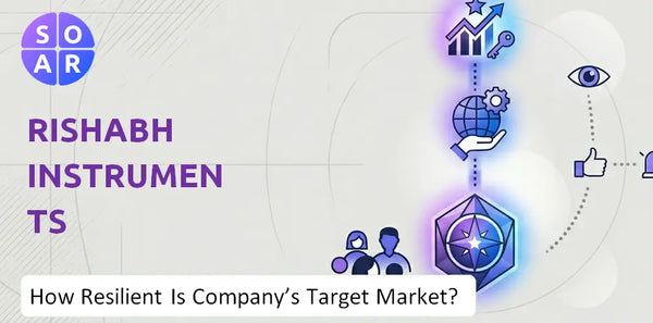How Resilient Is Rishabh Instruments Company's Target Market and Customer Base?