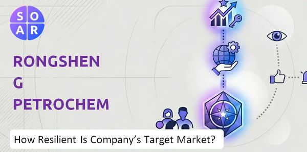 How Resilient Is Rongsheng Petrochemical Company's Target Market and Customer Base?