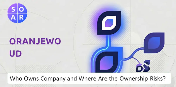 What Do the Mission, Vision, and Values of Oranjewoud Company Reveal Under Pressure?