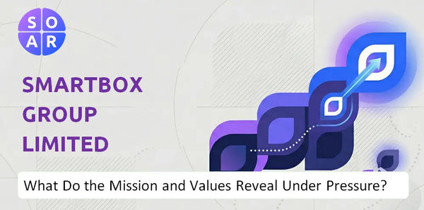 Who Owns Smartbox Group Limited Company and Where Are the Ownership Risks?