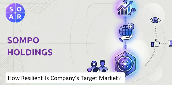 How Resilient Is Sompo Holdings Company's Target Market and Customer Base?
