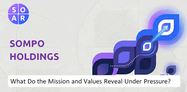 Who Owns Sompo Holdings Company and Where Are the Ownership Risks?