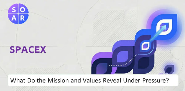 Who Owns SpaceX Company and Where Are the Ownership Risks?