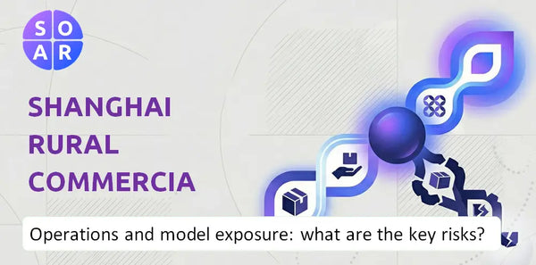 How Does Shanghai Rural Commercial Bank Company Work and Where Is Its Business Model Most Exposed?