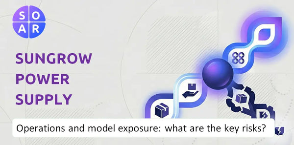 How Does Sungrow Power Supply Company Work and Where Is Its Business Model Most Exposed?