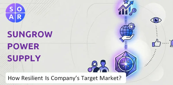 How Resilient Is Sungrow Power Supply Company's Target Market and Customer Base?
