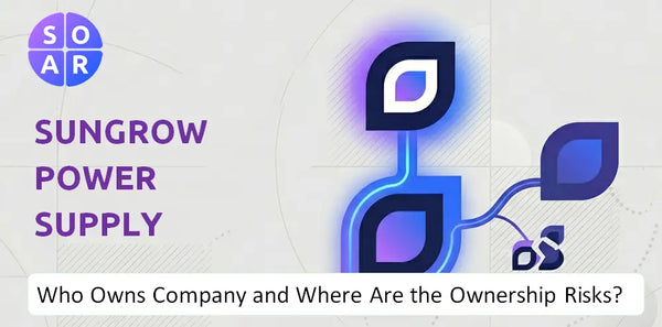 What Do the Mission, Vision, and Values of Sungrow Power Supply Company Reveal Under Pressure?