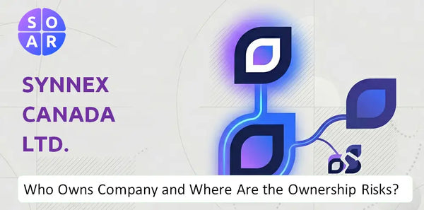 What Do the Mission, Vision, and Values of Synnex Canada Ltd. Company Reveal Under Pressure?