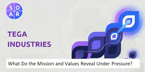 Who Owns Tega Industries Company and Where Are the Ownership Risks?