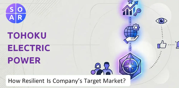 How Resilient Is Tohoku Electric Power Company's Target Market and Customer Base?