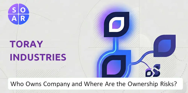 What Do the Mission, Vision, and Values of Toray Industries Company Reveal Under Pressure?