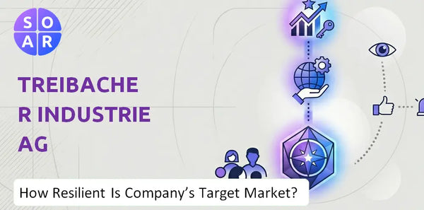 How Resilient Is Treibacher Industrie AG Company's Target Market and Customer Base?