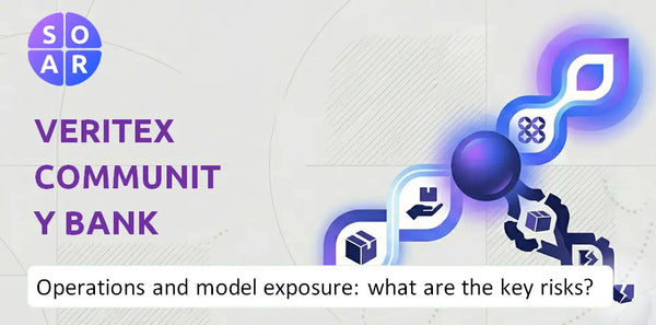 How Does Veritex Community Bank Company Work and Where Is Its Business Model Most Exposed?