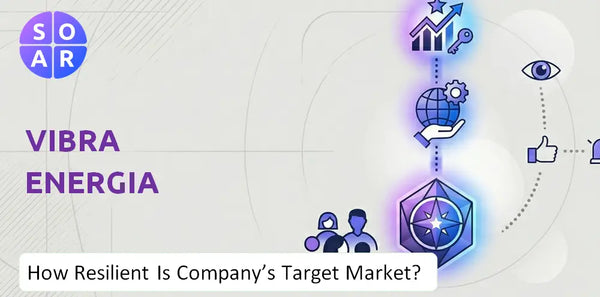 How Resilient Is Vibra Energia Company's Target Market and Customer Base?