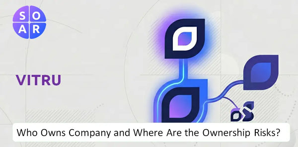 What Do the Mission, Vision, and Values of Vitru Company Reveal Under Pressure?