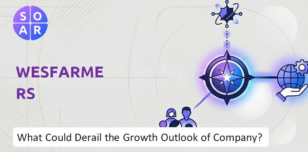 What Could Derail the Growth Outlook of Wesfarmers Company?