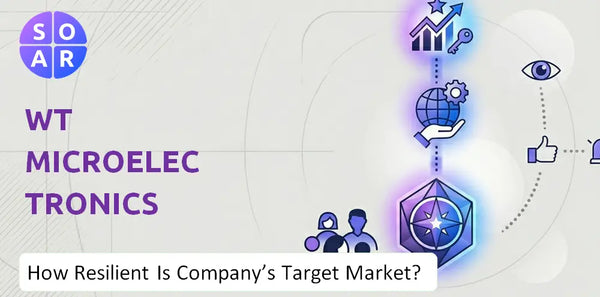 How Resilient Is WT Microelectronics Company's Target Market and Customer Base?
