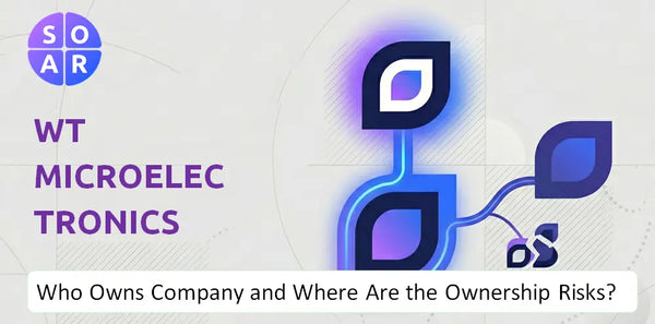 What Do the Mission, Vision, and Values of WT Microelectronics Company Reveal Under Pressure?