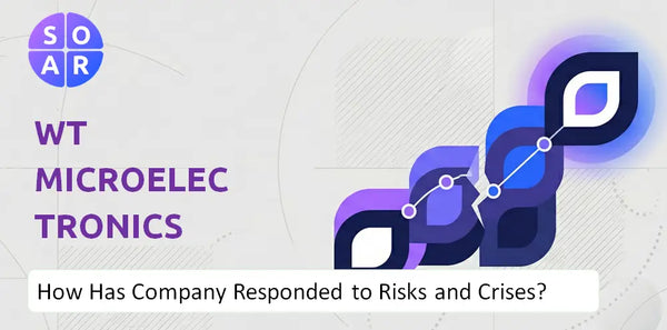How Has WT Microelectronics Company Responded to Risks and Crises Over Time?