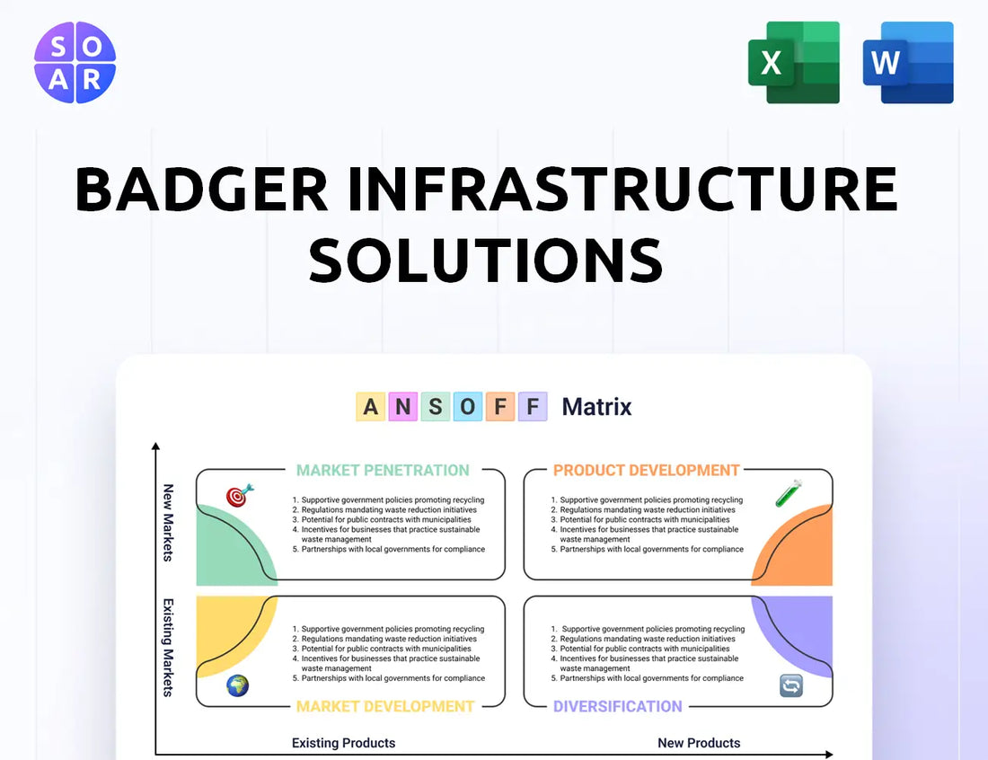 Badger Infrastructure Solutions Ansoff Matrix