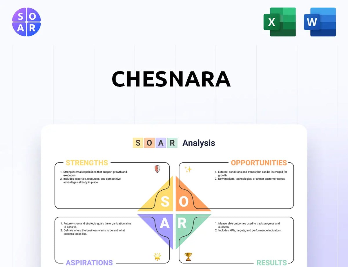 Chesnara SOAR Analysis