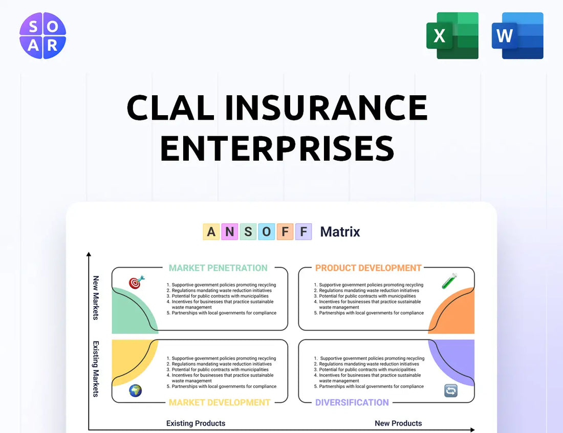 Clal Insurance Enterprises Ansoff Matrix