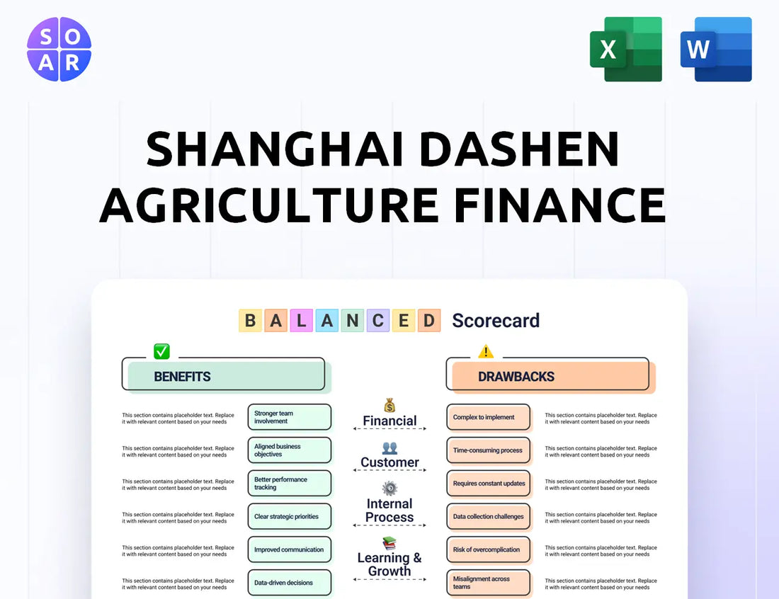 Shanghai Dashen Agriculture Finance Technology Balanced Scorecard