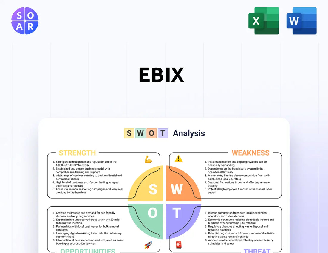 Ebix SWOT Analysis